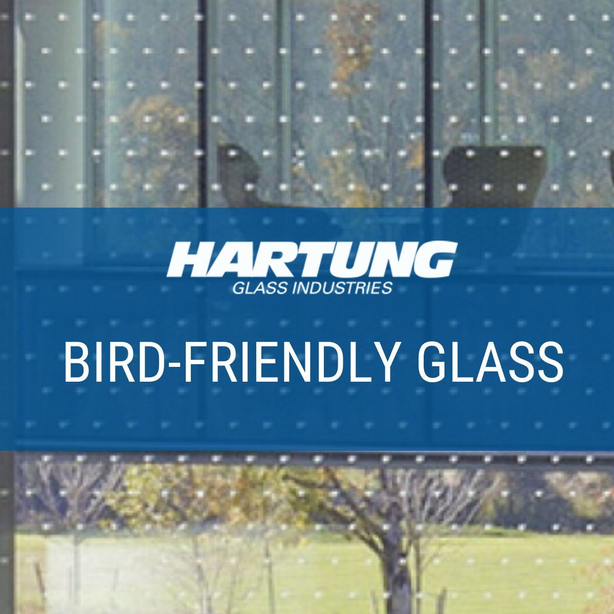 Reasons To Prioritize Bird Friendly Glass In Your Projects